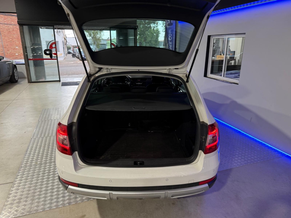 Skoda Octavia Scout 4x4 foto 10